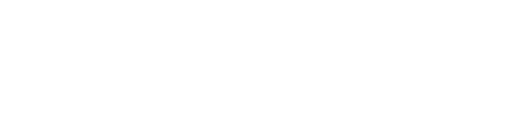 PROSION Main Logo White